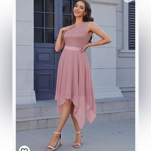 Bery Love NWOT Blush Pink Lace and Chiffon Dress - size S